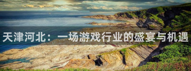 三牛娱乐挂机软件下载：天津河北：一场游戏行业的盛宴与机遇