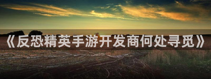 三牛娱乐管网：《反恐精英手游开发商何处寻觅》
