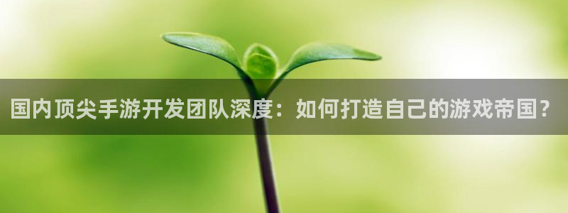 三牛娱乐管网怎么样：国内顶尖手游开发团队深度：如何打造自己的