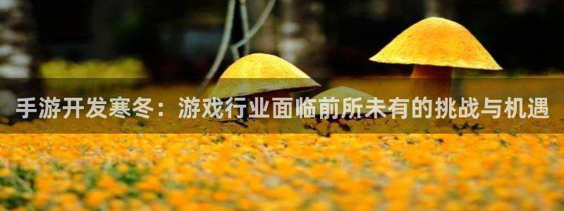 三牛娱乐如何注册：手游开发寒冬：游戏行业面临前所未有的挑战与
