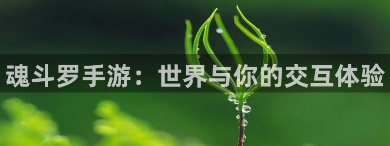 三牛娱乐测速系统官网：魂斗罗手游：世界与你的交互体验