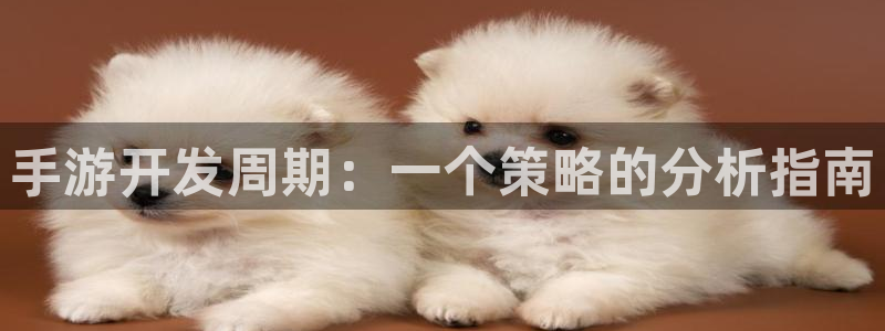 三牛娱乐测速系统app：手游开发周期：一个策略的分析指南