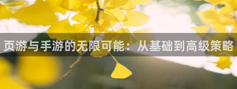 三牛娱乐管网客服电话：页游与手游的无限可能：从基础到高级策略