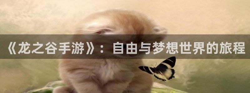 三牛娱乐测速系统：《龙之谷手游》：自由与梦想世界的旅程