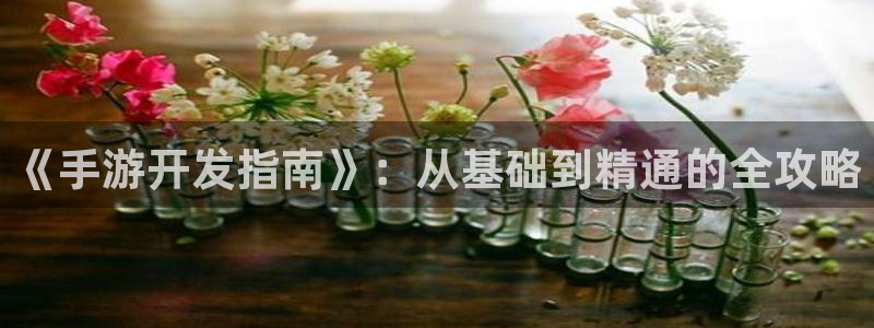 三牛娱乐负责人是谁：《手游开发指南》：从基础到精通的全攻略