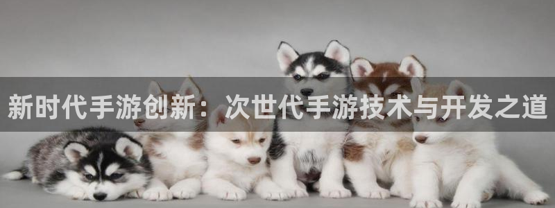 江苏三牛：新时代手游创新：次世代手游技术与开发之道