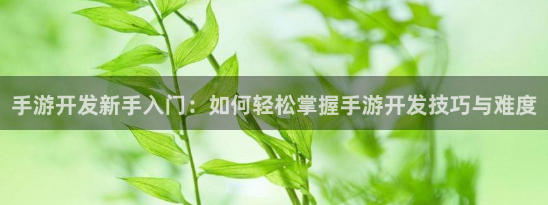 三牛公司：手游开发新手入门：如何轻松掌握手游开发技巧与难度