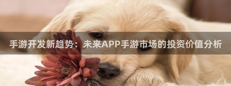 三牛娱乐：手游开发新趋势：未来APP手游市场的投资价值分析