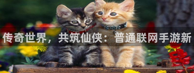 三牛平台娱乐：传奇世界，共筑仙侠：普通联网手游新