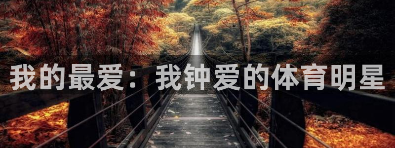 bbin视讯游戏平台：我的最爱：我钟爱的体育明星