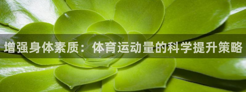bbin视讯游戏官网：增强身体素质：体育运动量的科学提升策略