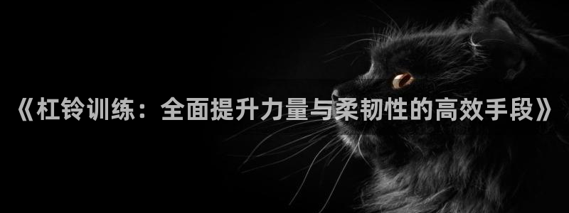 bbin视讯：《杠铃训练：全面提升力量与柔韧性的高效手段》