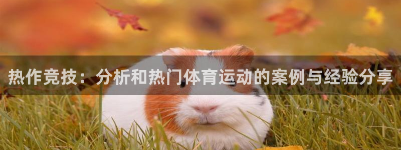 bbin视讯游戏平台：热作竞技：分析和热门体育运动的案例与经验分享