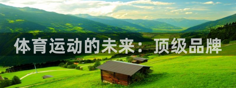 bbin视讯下：体育运动的未来：顶级品牌