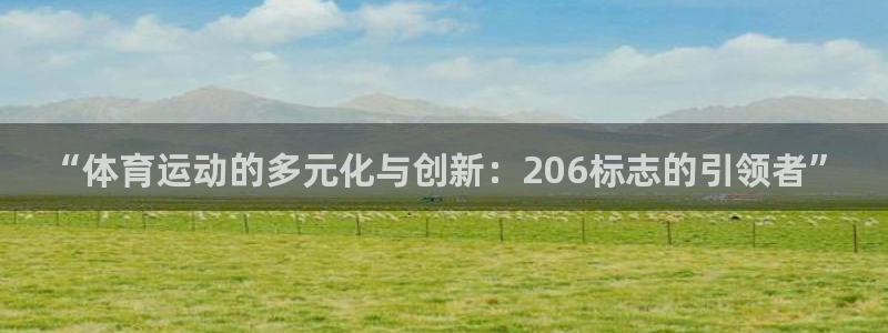 bbin视讯游戏官网：“体育运动的多元化与创新：206标志的引领者”