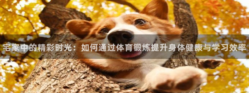 bbin视讯：宅家中的精彩时光：如何通过体育锻炼提升身体健康与学习效率